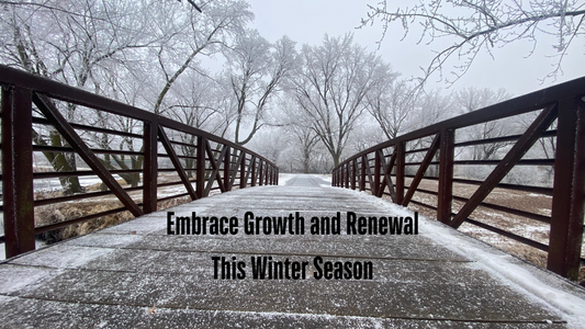 Winter Time is for Sprucing: Embrace Growth and Renewal